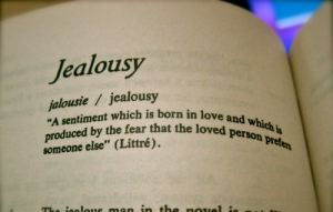 Jealousy Dictionary