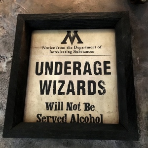 hogsmeade wizarding world harry potter hollywood universal studios